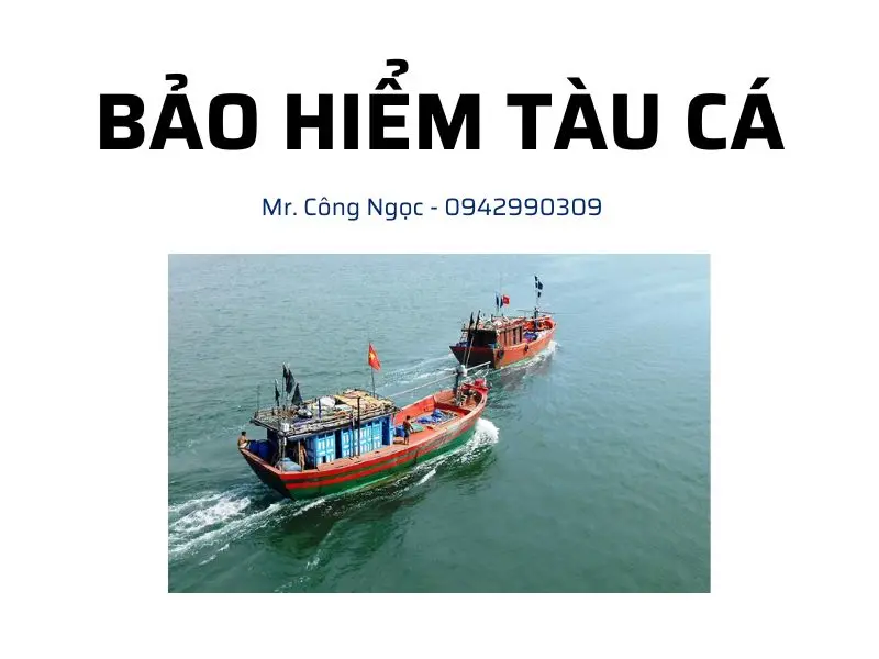 BẢO HIỂM TÀU CÁ